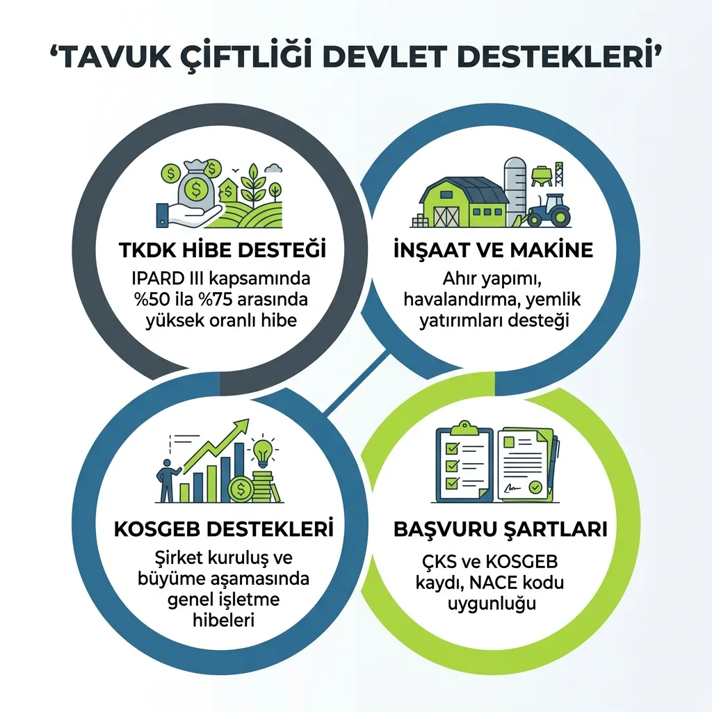 KOSGEB tavuk çiftliği hibe uygunluk filtresini gösteren infografik