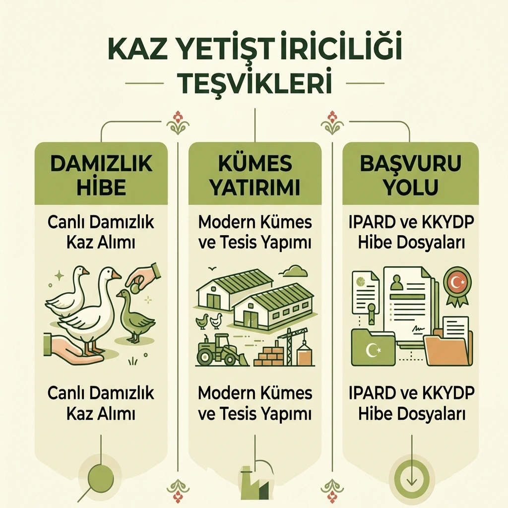 2026 kaz yetiştiriciliği devlet desteğinde canlı hayvan, tesis yatırımı, KKYDP ve IPARD ayrımını gösteren infografik