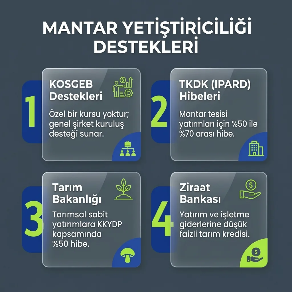 MEB mantar yetiştiriciliği kursu ile KOSGEB girişimcilik eğitimi ve destek başvurusu arasındaki farkı gösteren görsel